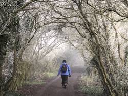 Thunderley Byway, Saffron Walden